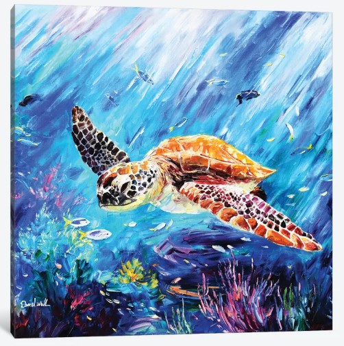 Turtle Art by Turtle Man Dan Wall