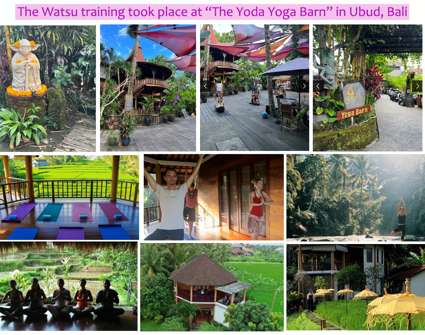 Yoda Yoga House