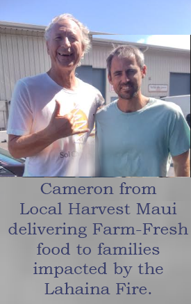 Cameron from Local-Harvest Maui